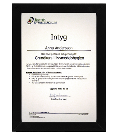 Intyg exempel